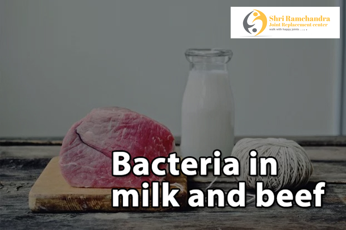 1 Bacteria in milk and beef linked to rheumatoid arthritis
