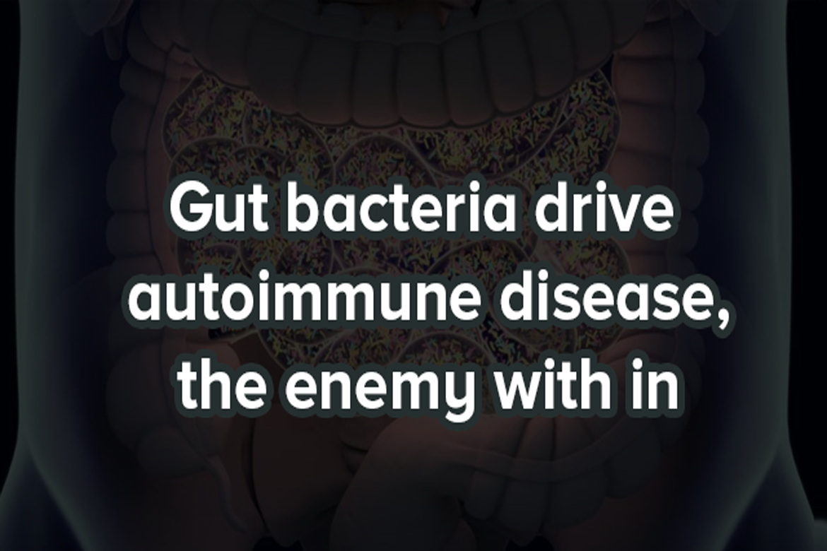 happy_hospitals_guntur_shri_ramchandra_joint_replacement_centre_polta_sivaiah (1) Gut bacteria drive autoimmune disease