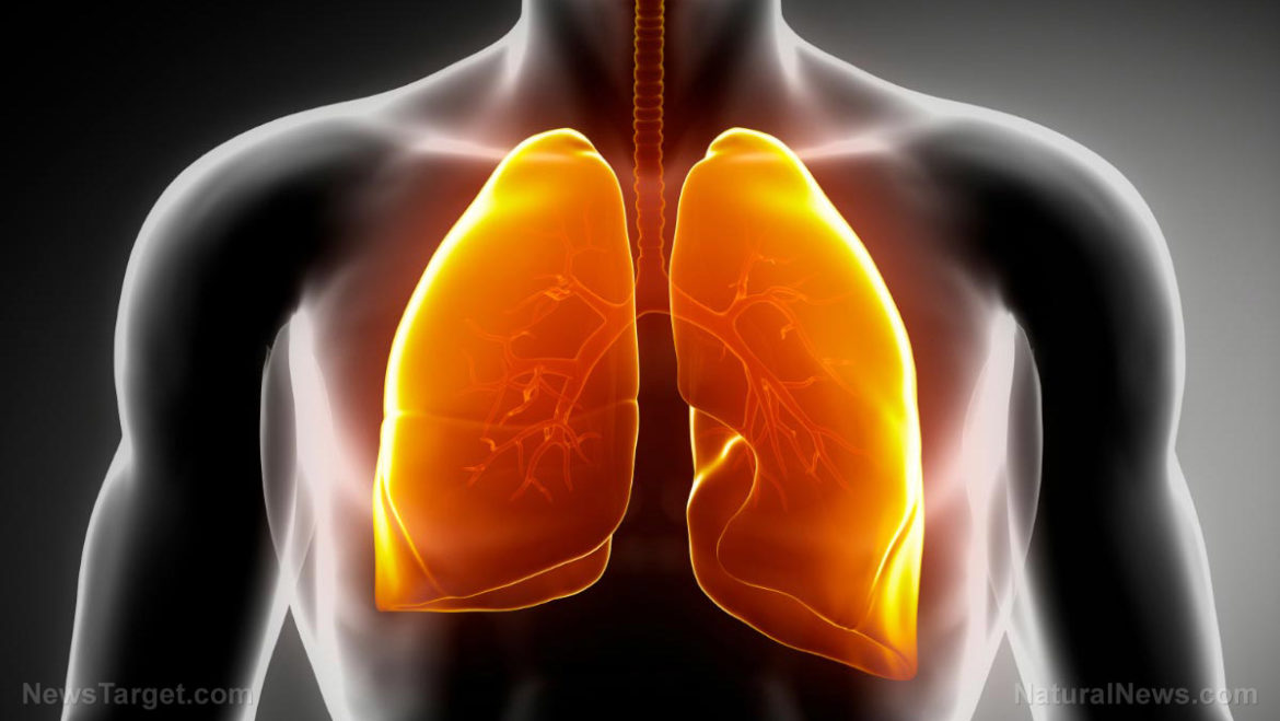 Lungs-happy-hospitals Facts, Function and Diseases of Lungs